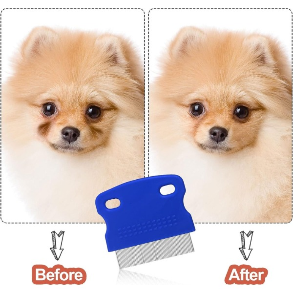 Bellura Pet - Stain Removing Grooming Set - Blue