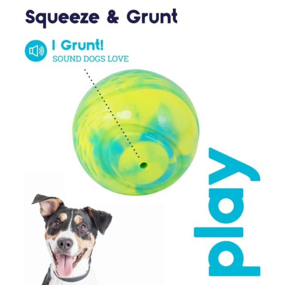 Bellura Pet - Fetch Ball Dog Toy - Green