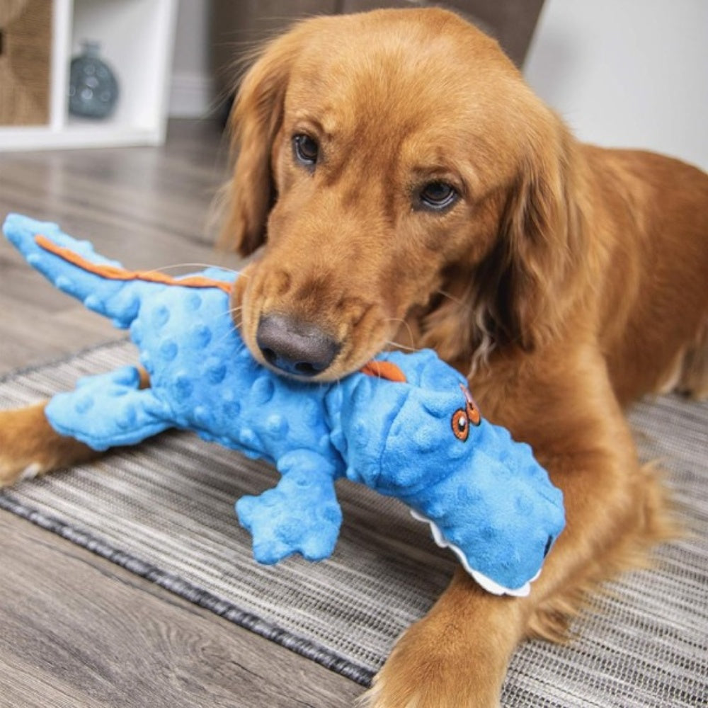 Bellura Pet - Squeaky Plush Dog Toy - Blue