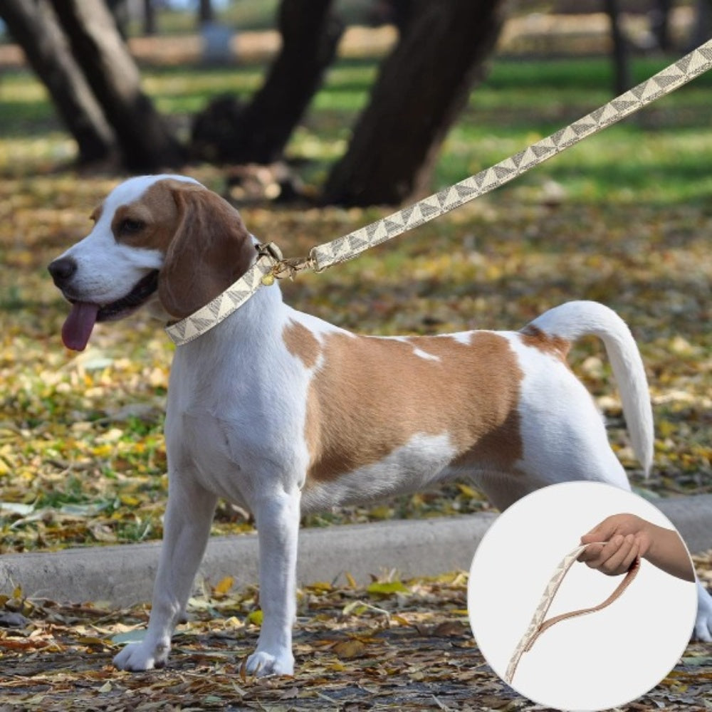 Bellura Pet - Leather Checkered Pet Harness - White