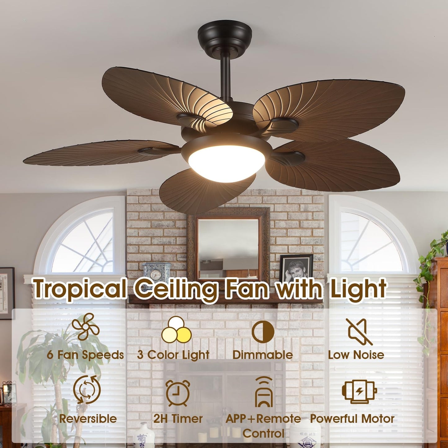 44 and 52 Inch ceiling Fan