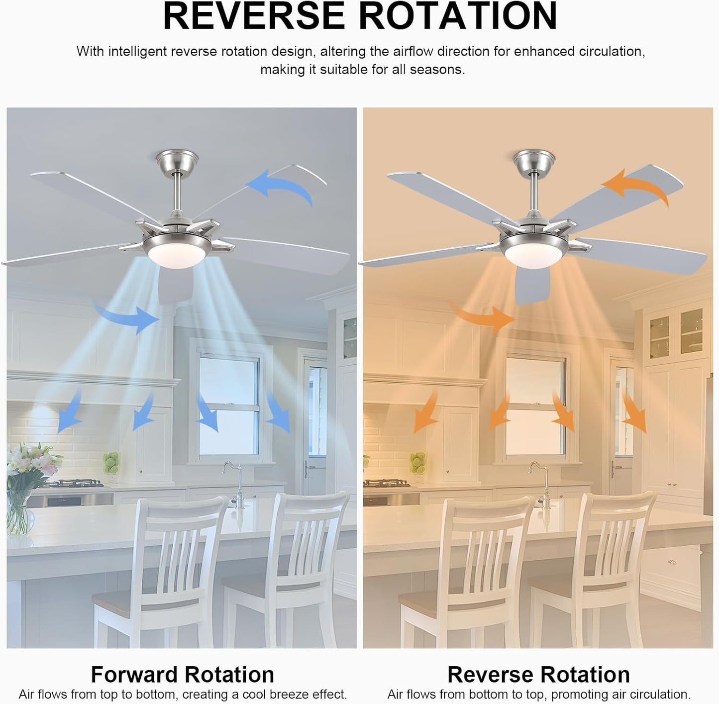 52 Inch Down Rod Ceiling Fan with Light,Dual side Blades