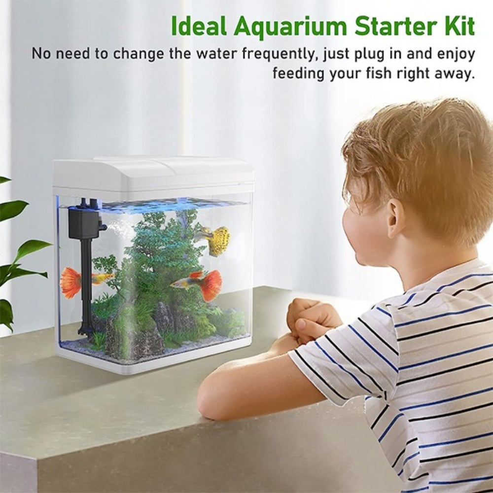 Bellura Pet - Betta Fish Tank - White