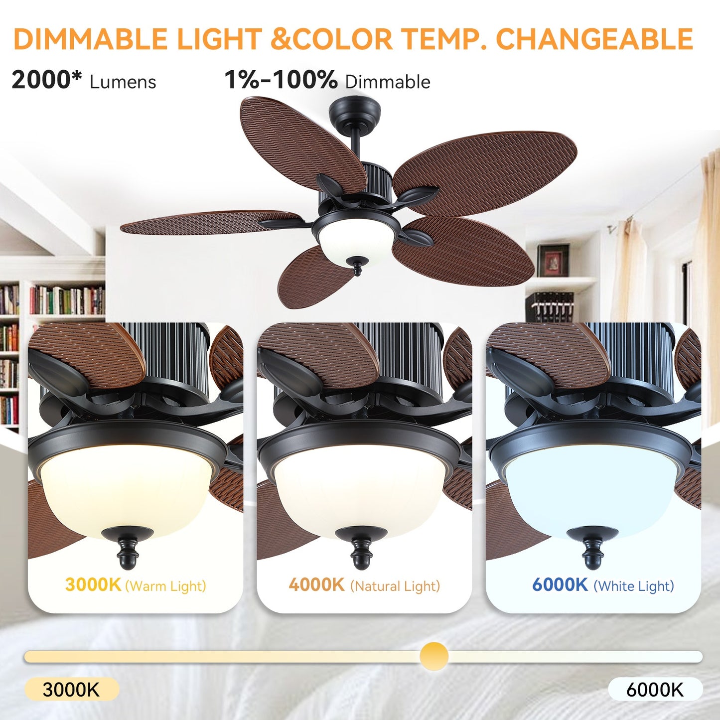 50 Inch Ceiling Fan