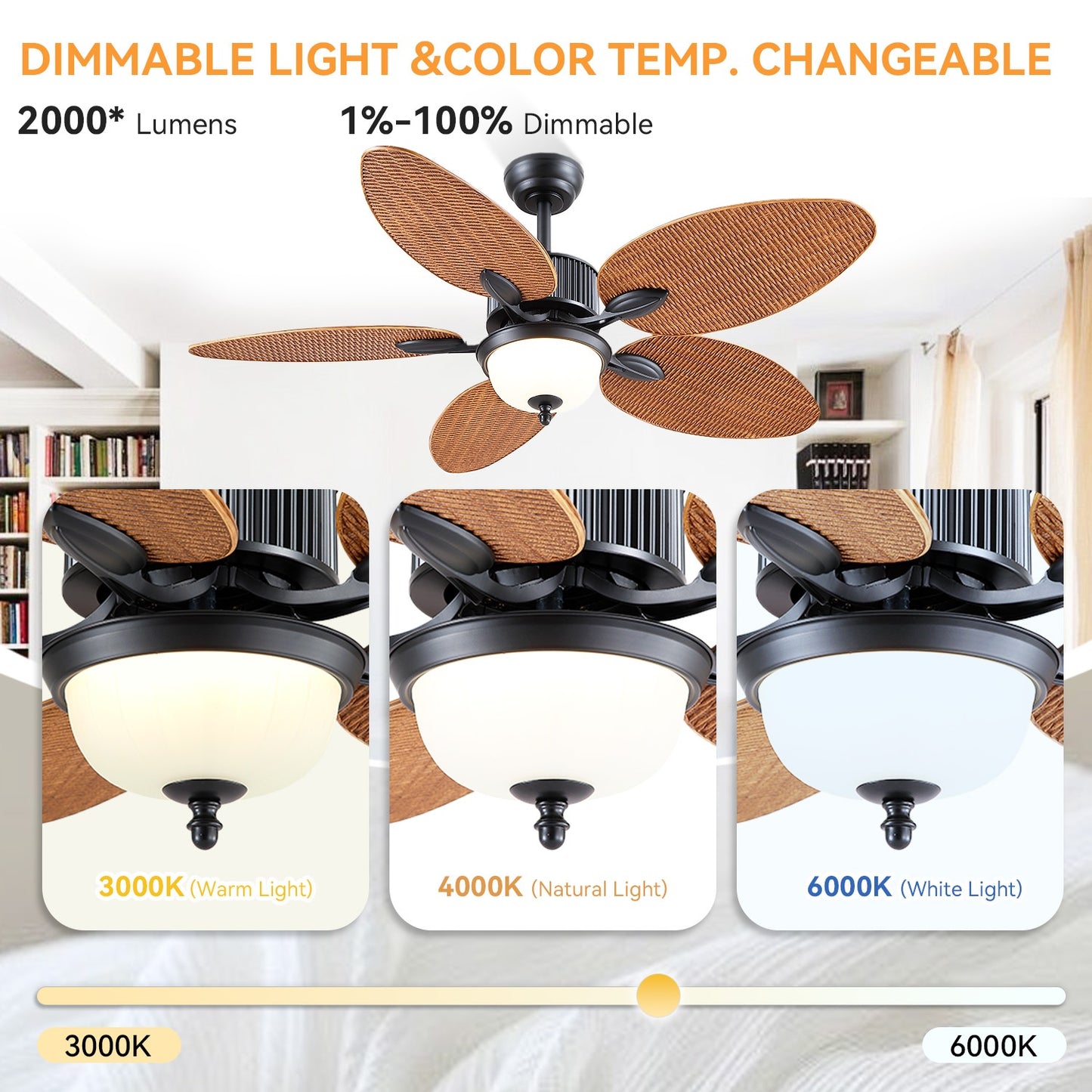 50 Inch Ceiling Fan