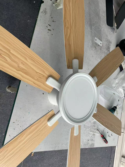 54 Inch Flush Mount RGB Ceiling Fan with ABS Dual Blades
