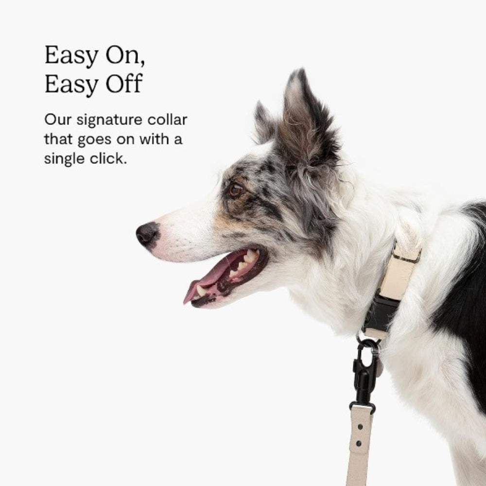 Bellura Pet - Waterproof - Coated Webbing Pet Harness - Cream White