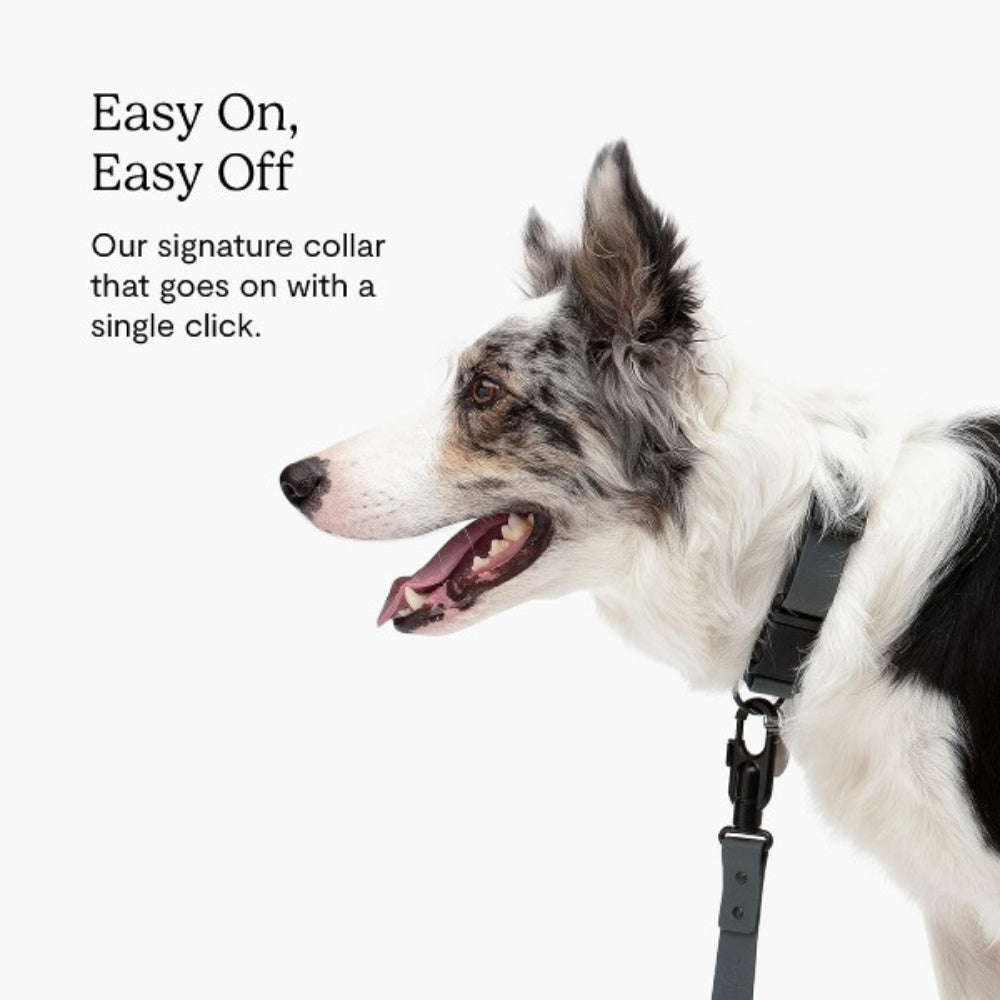 Bellura Pet - Waterproof - Coated Slate Dog Harness - Army Green