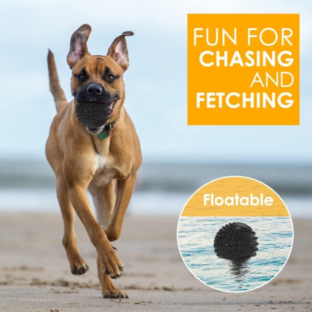 Bellura Pet - Squeaky Spike Ball Dog Toy - Black
