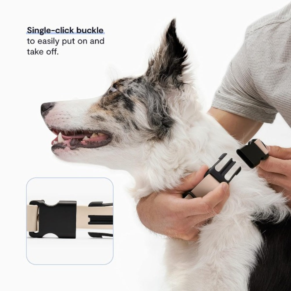 Bellura Pet - Waterproof - Coated Webbing Pet Harness - Cream White