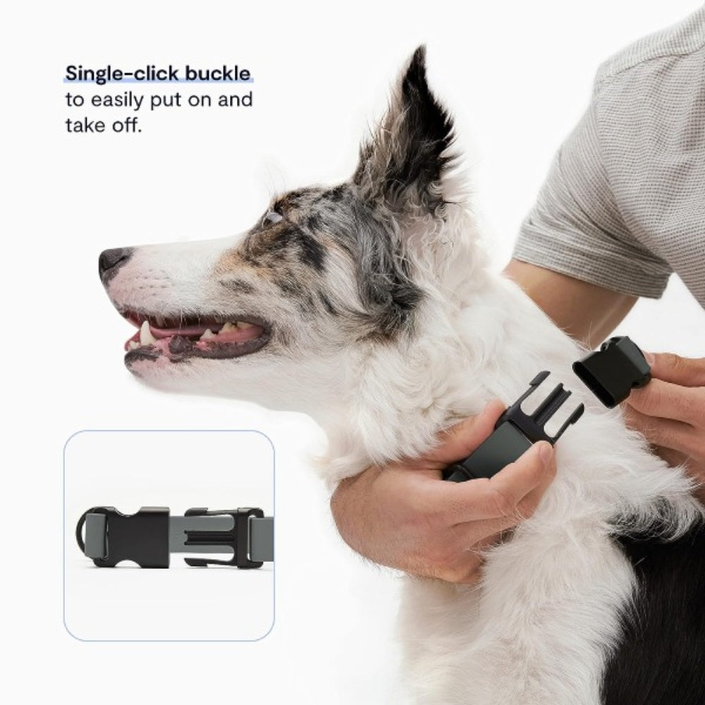 Bellura Pet - Waterproof - Coated Slate Dog Harness - Army Green