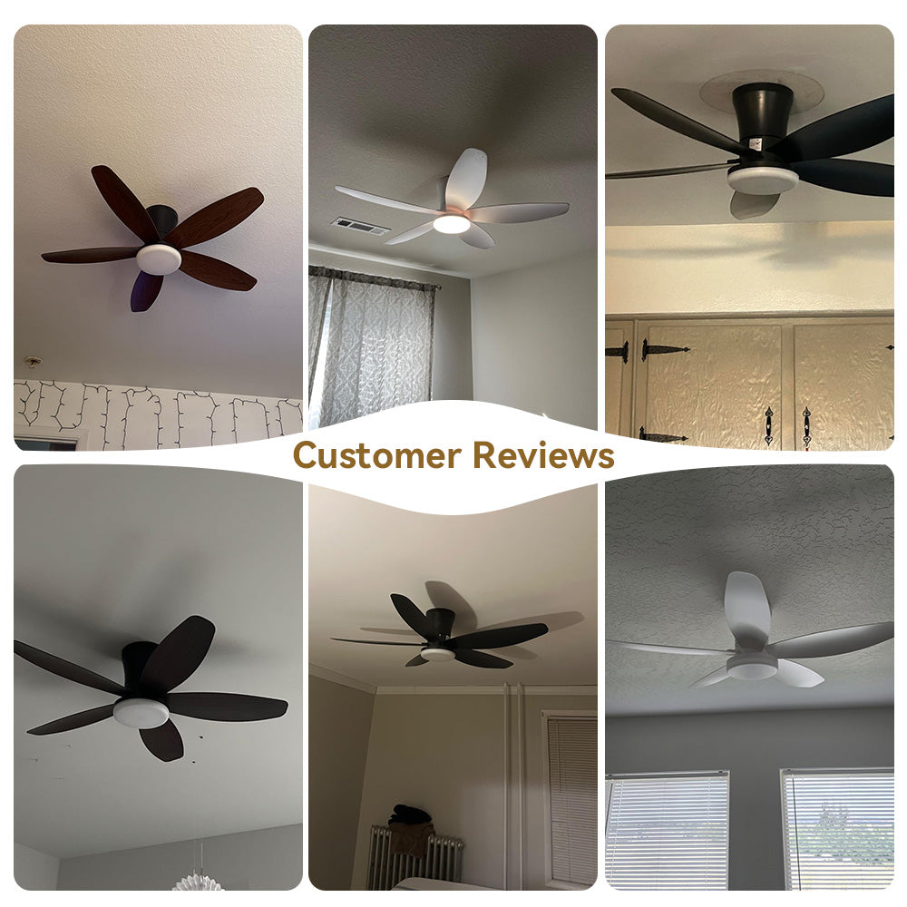36 or 42 or 48 inch ceiling fan