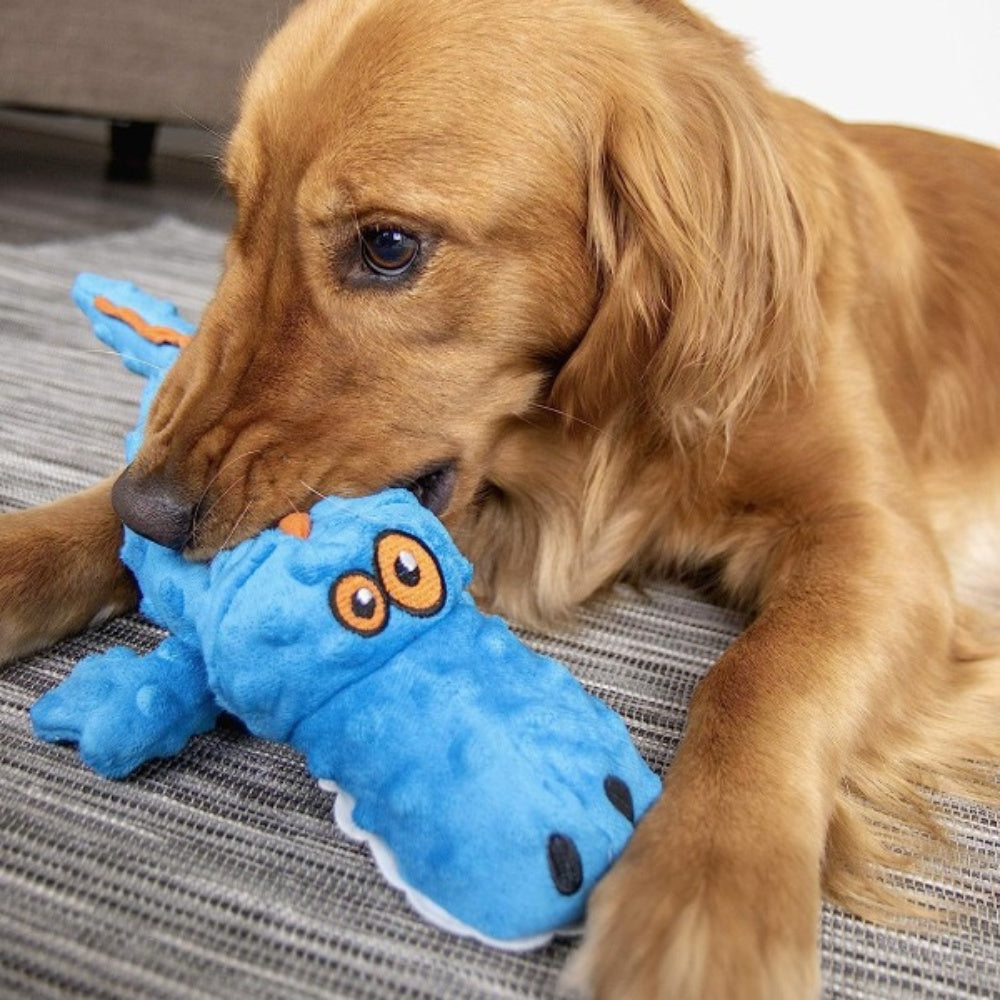 Bellura Pet - Squeaky Plush Dog Toy - Blue