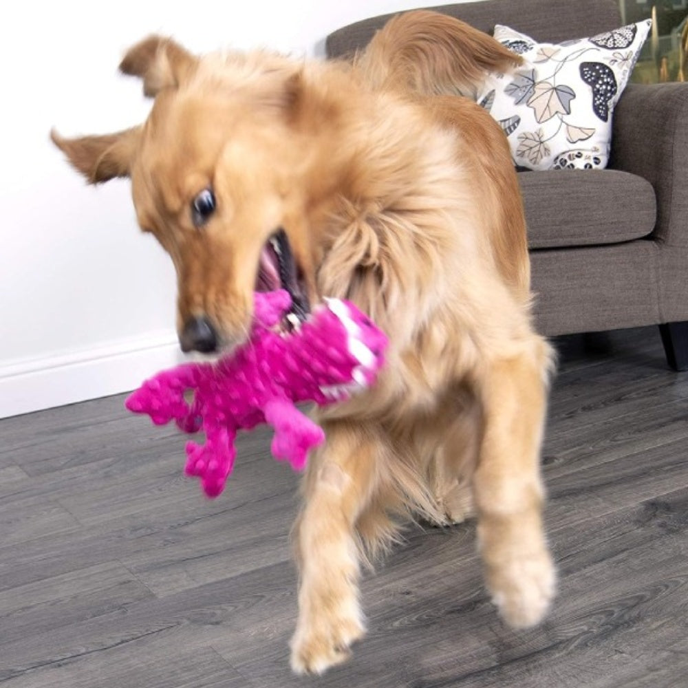 Bellura Pet - Plush Squeaky Chew Dog Toy - Pink