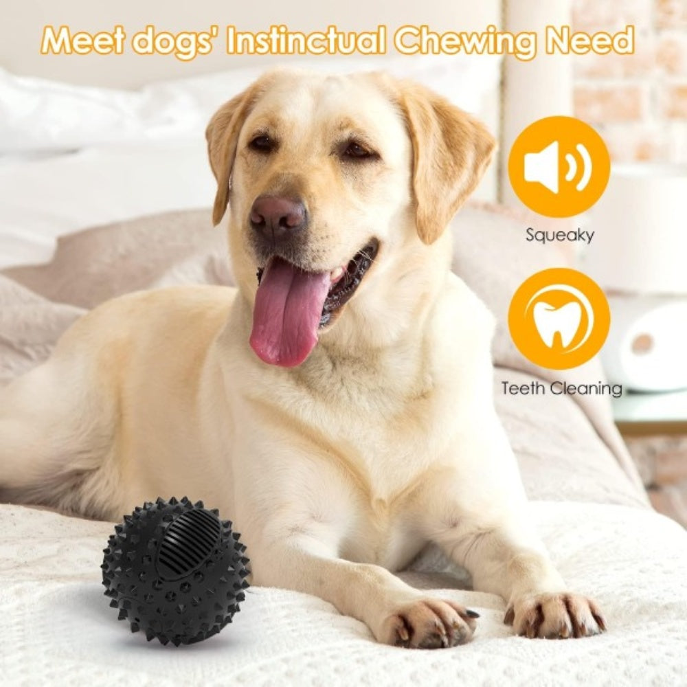 Bellura Pet - Squeaky Spike Ball Dog Toy - Black